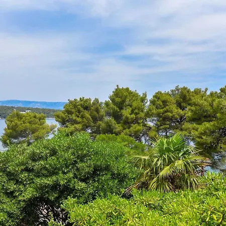 Appartement By The Sea,private Parking,sea View,quiet Area,nice Walk By The Sea To Center,wifi,bbq