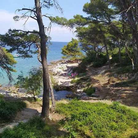 Appartement By The Sea,private Parking,sea View,quiet Area,nice Walk By The Sea To Center,wifi,bbq *