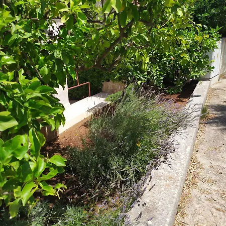 By The Sea,private Parking,sea View,quiet Area,nice Walk By The Sea To Center,wifi,bbq Jelsa (Hvar)